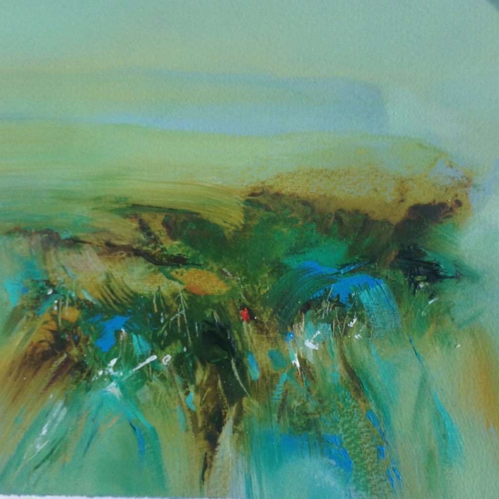 CLARE CLIFFS IN SUMMER