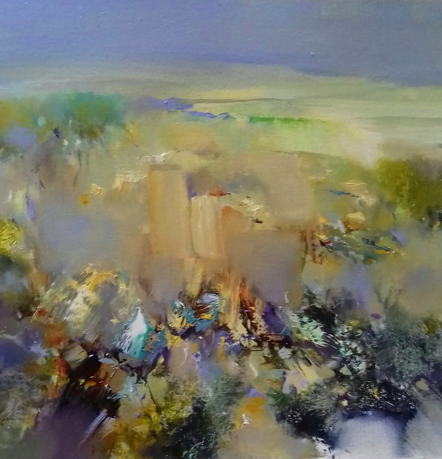 The Burren in Midsummer